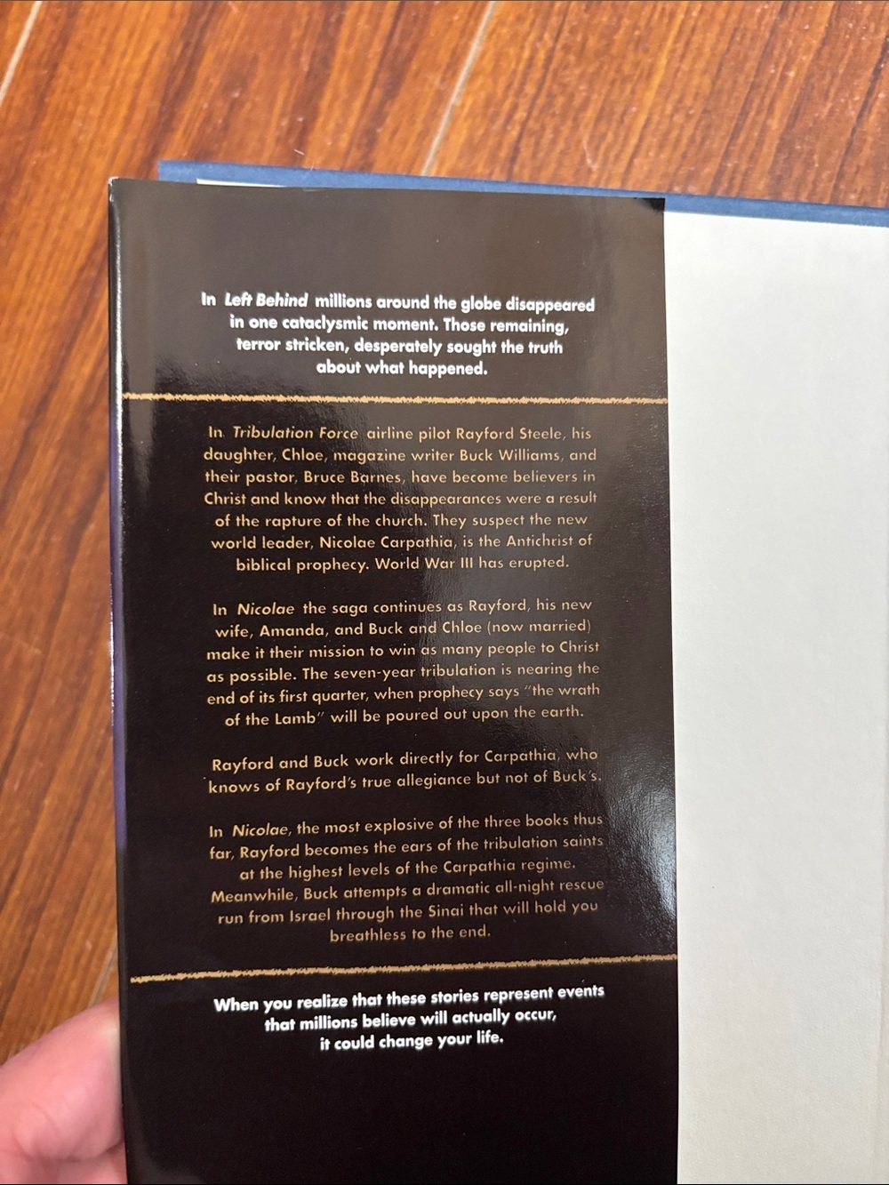 2Book Bundle by Tim LaHaye & Jerry B. Jenkins - Picture 6 of 10